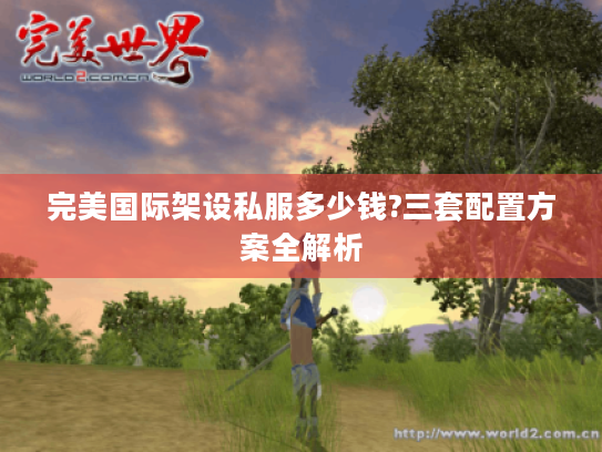 完美国际架设私服多少钱?三套配置方案全解析