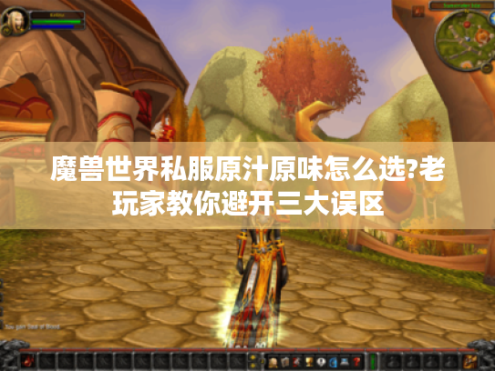 魔兽世界私服原汁原味怎么选?老玩家教你避开三大误区