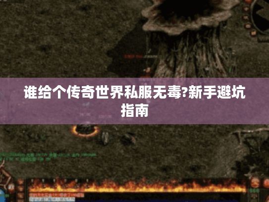 谁给个传奇世界私服无毒?新手避坑指南