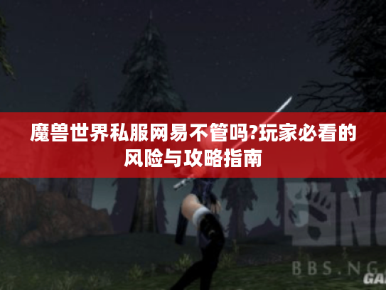 魔兽世界私服网易不管吗?玩家必看的风险与攻略指南