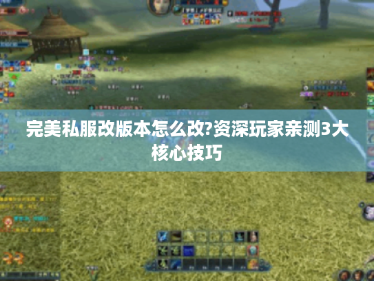 完美私服改版本怎么改?资深玩家亲测3大核心技巧