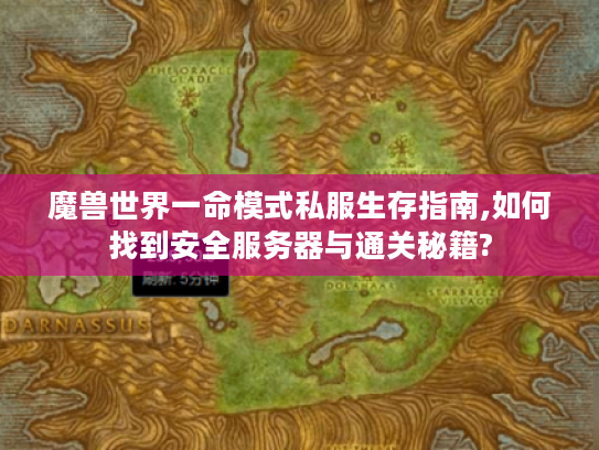 魔兽世界一命模式私服生存指南,如何找到安全服务器与通关秘籍?