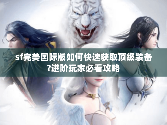 sf完美国际版如何快速获取顶级装备?进阶玩家必看攻略