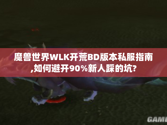 魔兽世界WLK开荒BD版本私服指南,如何避开90%新人踩的坑?