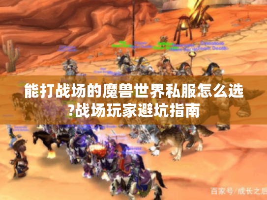 能打战场的魔兽世界私服怎么选?战场玩家避坑指南