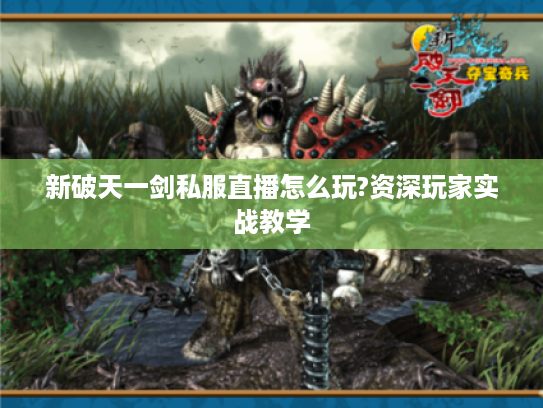 新破天一剑私服直播怎么玩?资深玩家实战教学