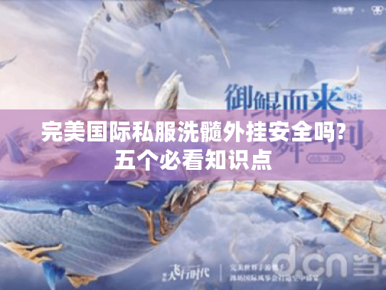 完美国际私服洗髓外挂安全吗?五个必看知识点