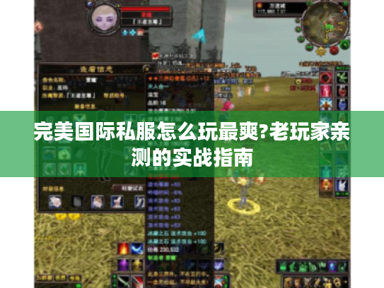 完美国际私服怎么玩最爽?老玩家亲测的实战指南
