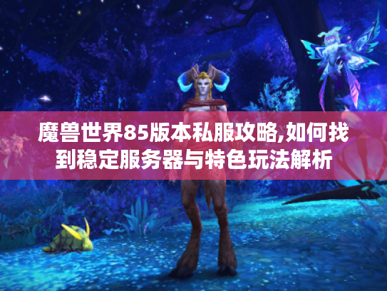 魔兽世界85版本私服攻略,如何找到稳定服务器与特色玩法解析