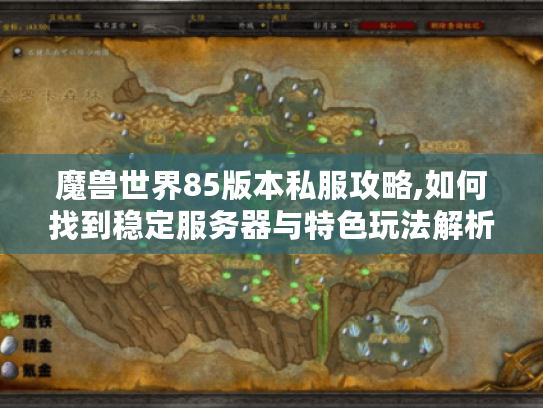 魔兽世界85版本私服攻略,如何找到稳定服务器与特色玩法解析