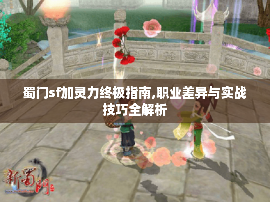 蜀门sf加灵力终极指南,职业差异与实战技巧全解析