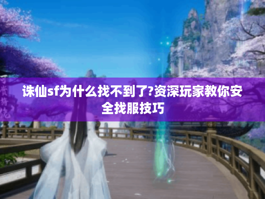 诛仙sf为什么找不到了?资深玩家教你安全找服技巧