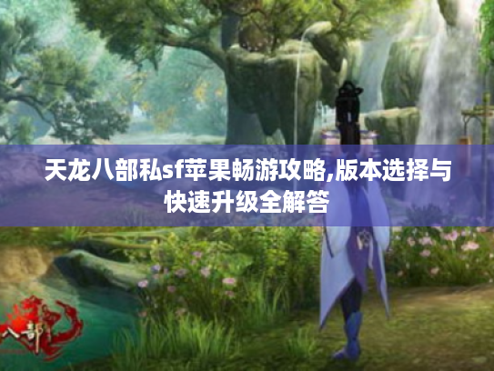 天龙八部私sf苹果畅游攻略,版本选择与快速升级全解答
