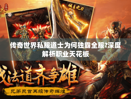 传奇世界私服道士为何独霸全服?深度解析职业天花板