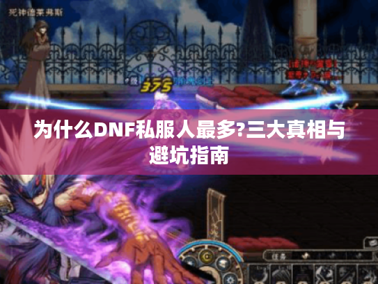 为什么DNF私服人最多?三大真相与避坑指南
