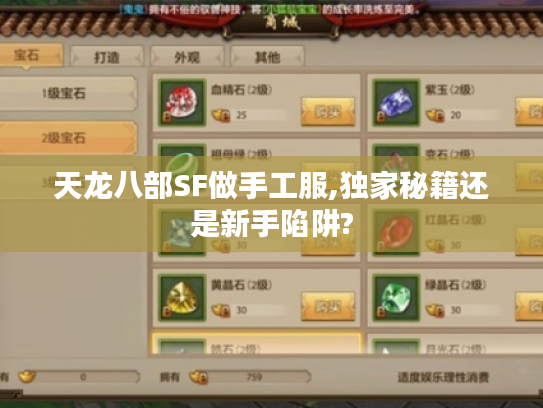 天龙八部SF做手工服,独家秘籍还是新手陷阱?