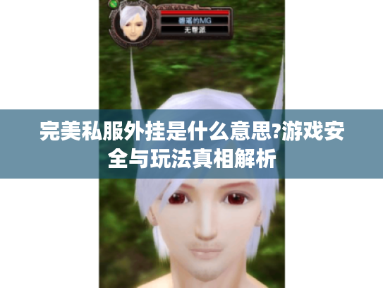 完美私服外挂是什么意思?游戏安全与玩法真相解析