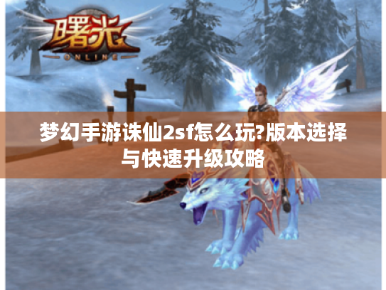 梦幻手游诛仙2sf怎么玩?版本选择与快速升级攻略