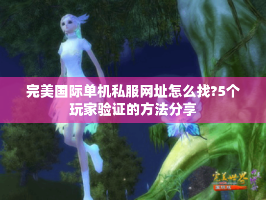 完美国际单机私服网址怎么找?5个玩家验证的方法分享