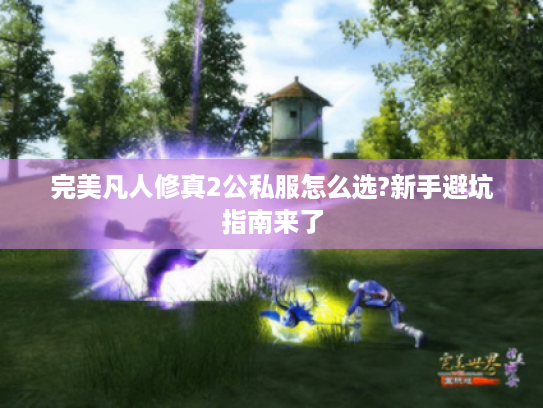 完美凡人修真2公私服怎么选?新手避坑指南来了