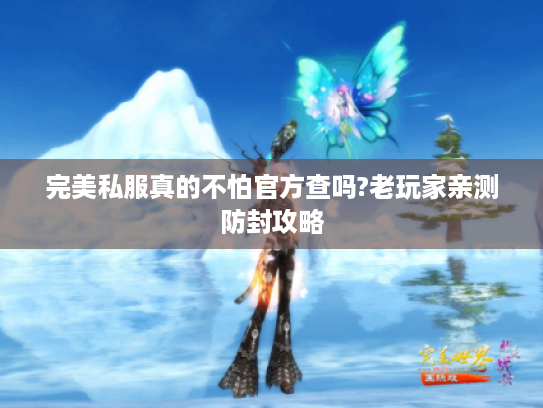 完美私服真的不怕官方查吗?老玩家亲测防封攻略