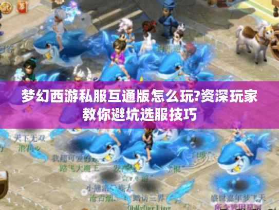 梦幻西游私服互通版怎么玩?资深玩家教你避坑选服技巧
