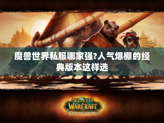 魔兽世界私服哪家强?人气爆棚的经典版本这样选