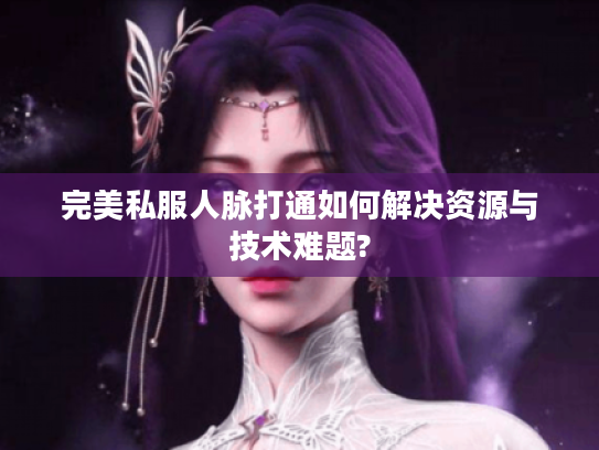 完美私服人脉打通如何解决资源与技术难题?