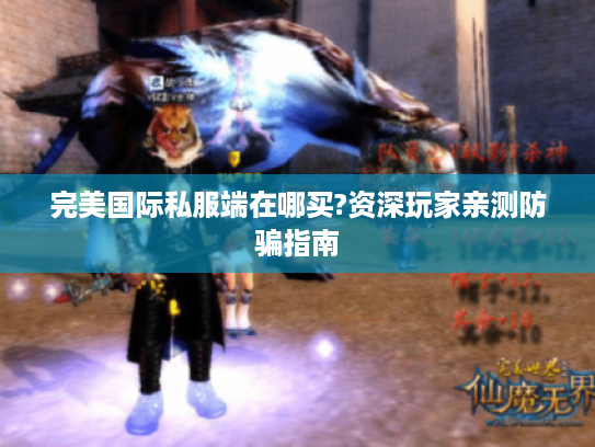 完美国际私服端在哪买?资深玩家亲测防骗指南