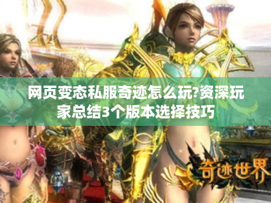 网页变态私服奇迹怎么玩?资深玩家总结3个版本选择技巧