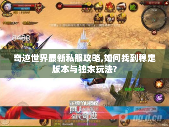 奇迹世界最新私服攻略,如何找到稳定版本与独家玩法?