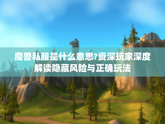 魔兽私服是什么意思?资深玩家深度解读隐藏风险与正确玩法