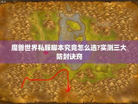 魔兽世界私服脚本究竟怎么选?实测三大防封诀窍