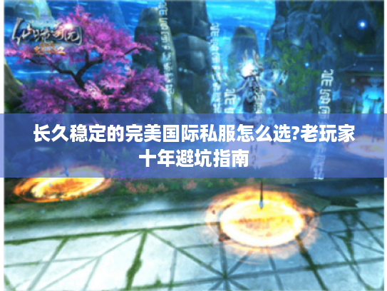 长久稳定的完美国际私服怎么选?老玩家十年避坑指南