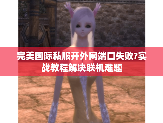 完美国际私服开外网端口失败?实战教程解决联机难题