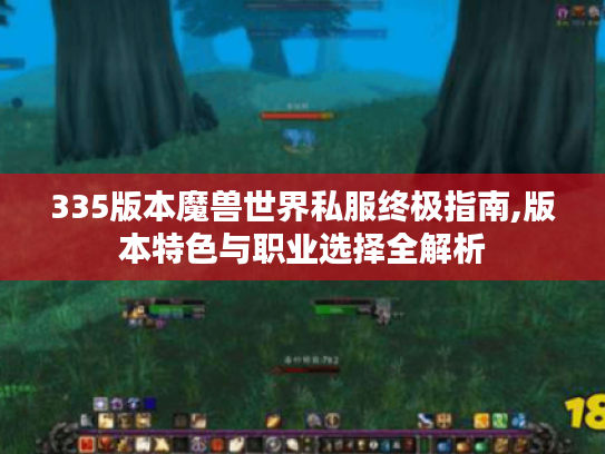 335版本魔兽世界私服终极指南,版本特色与职业选择全解析