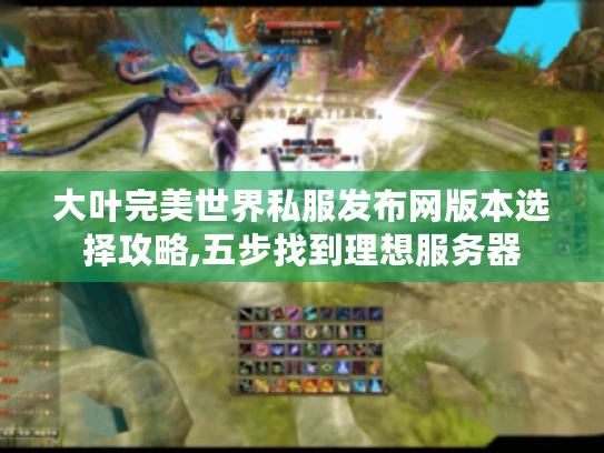 大叶完美世界私服发布网版本选择攻略,五步找到理想服务器