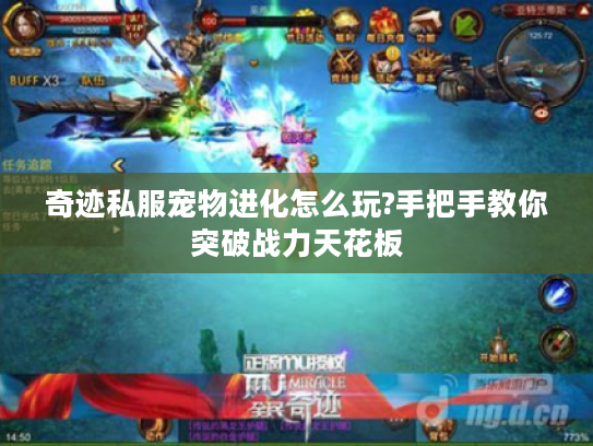 奇迹私服宠物进化怎么玩?手把手教你突破战力天花板