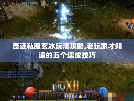 奇迹私服玄冰玩法攻略,老玩家才知道的五个速成技巧