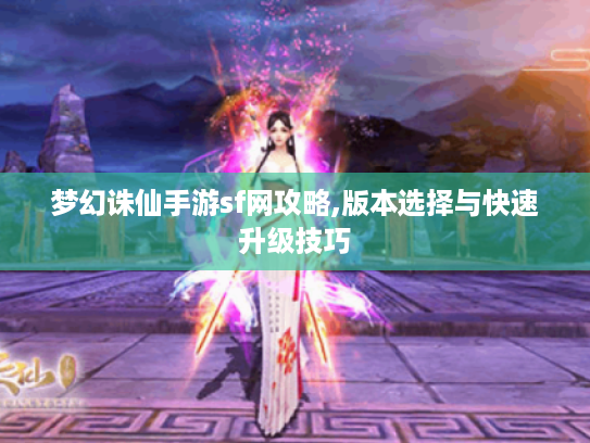 梦幻诛仙手游sf网攻略,版本选择与快速升级技巧