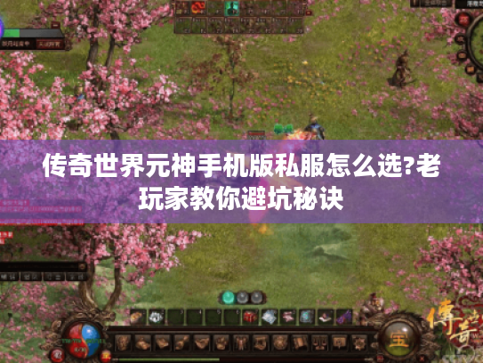 传奇世界元神手机版私服怎么选?老玩家教你避坑秘诀