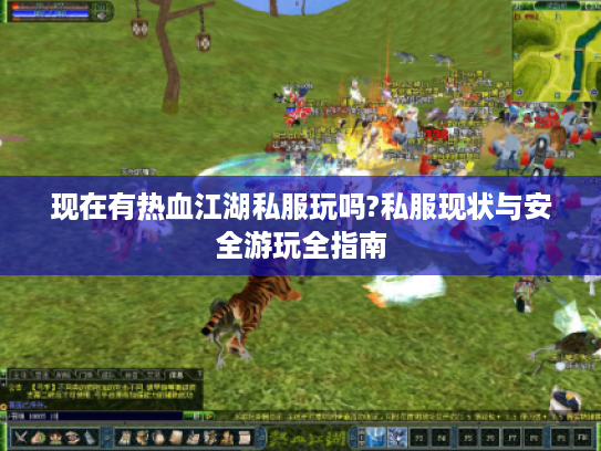 现在有热血江湖私服玩吗?私服现状与安全游玩全指南
