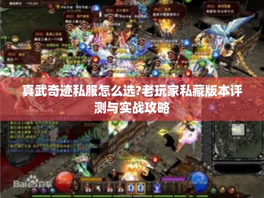 真武奇迹私服怎么选?老玩家私藏版本评测与实战攻略