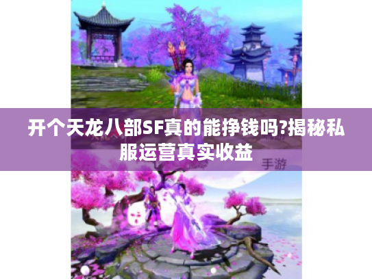 开个天龙八部SF真的能挣钱吗?揭秘私服运营真实收益