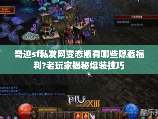奇迹sf私发网变态版有哪些隐藏福利?老玩家揭秘爆装技巧