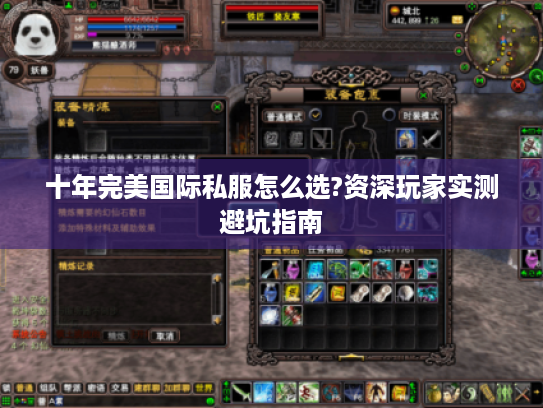 十年完美国际私服怎么选?资深玩家实测避坑指南