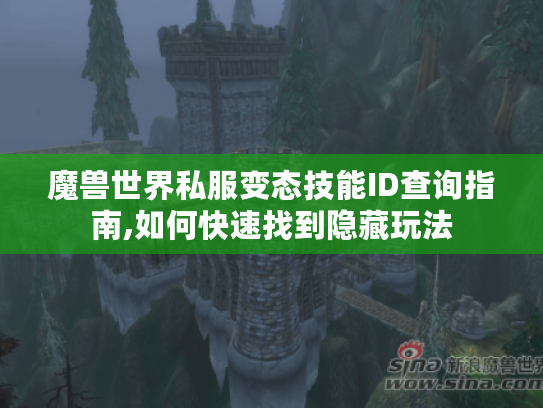 魔兽世界私服变态技能ID查询指南,如何快速找到隐藏玩法
