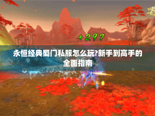 永恒经典蜀门私服怎么玩?新手到高手的全面指南