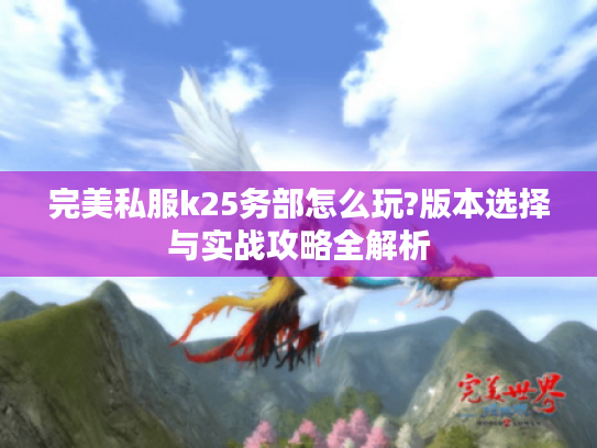 完美私服k25务部怎么玩?版本选择与实战攻略全解析