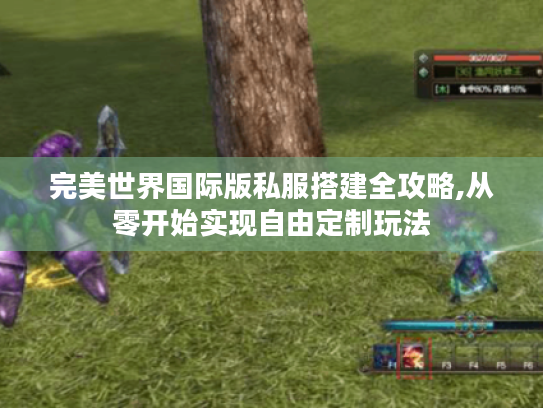完美世界国际版私服搭建全攻略,从零开始实现自由定制玩法
